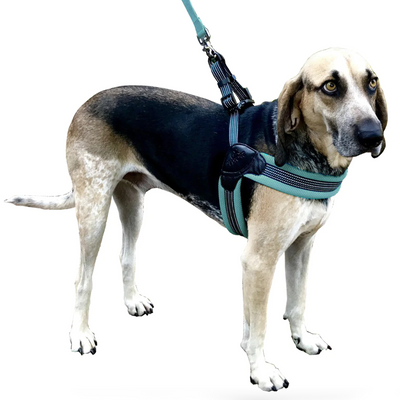 Sporn Easy Fit Harness, Padded Comfort