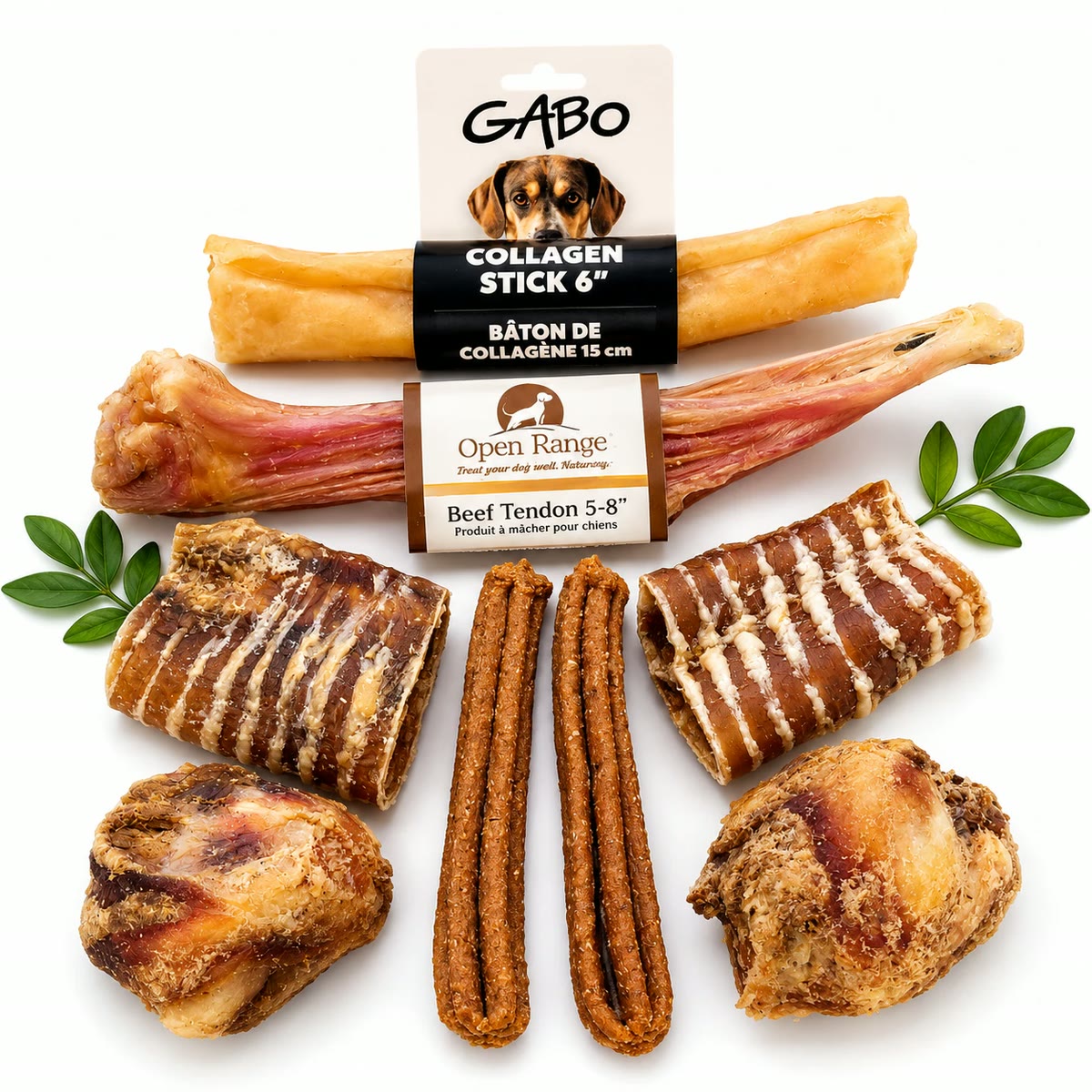 Chew Sampler bundle: collagen sticks, beef tendon, beef tracheas and knee caps