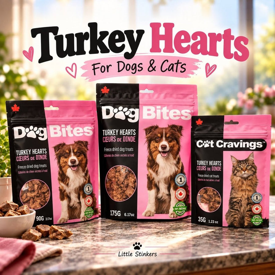 Dog Bites and Cat Cravings freeze-dried turkey hearts