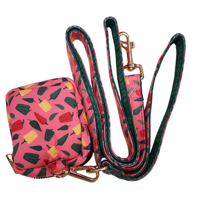 Cute Summer Pet Leash with Waste Bag Holder