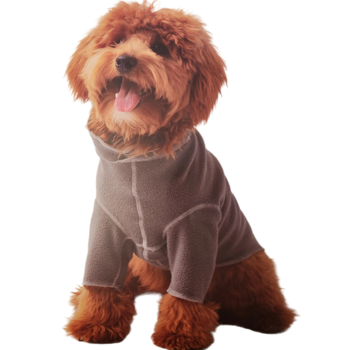 GF Pet Gondola Base Layer