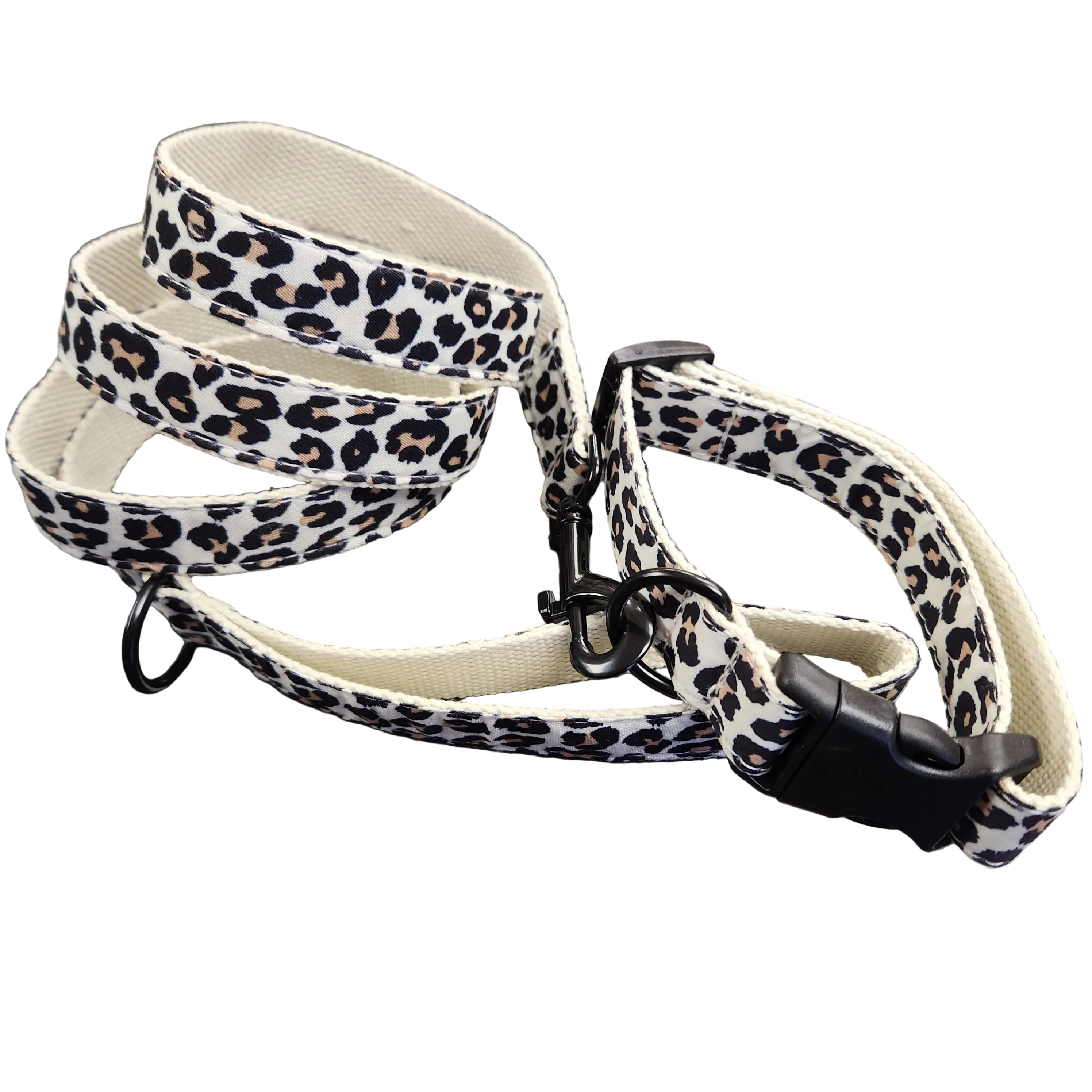 Leopard Print Leash Collar Set