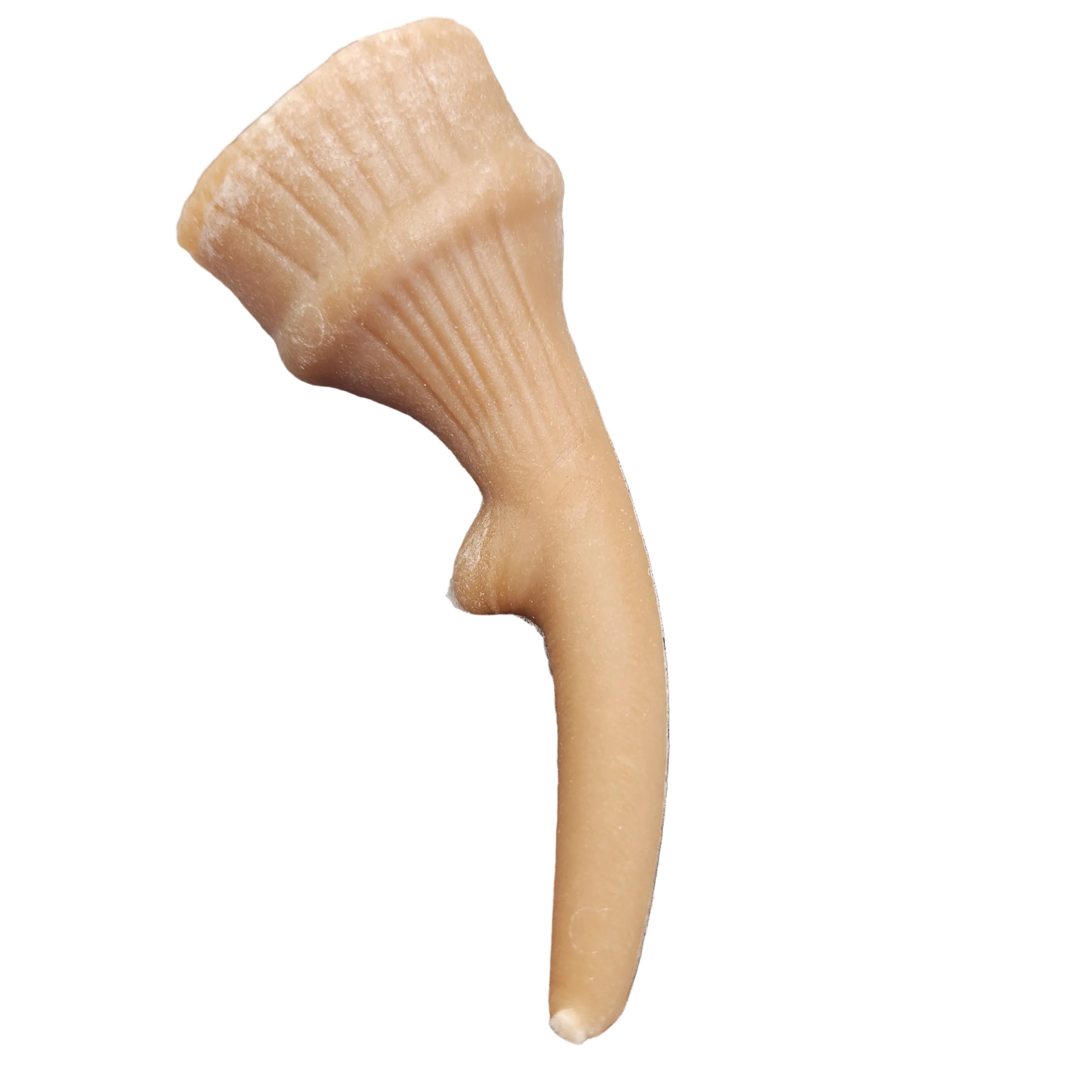 Moyen à mâcher dentaire pour chien Whimzees