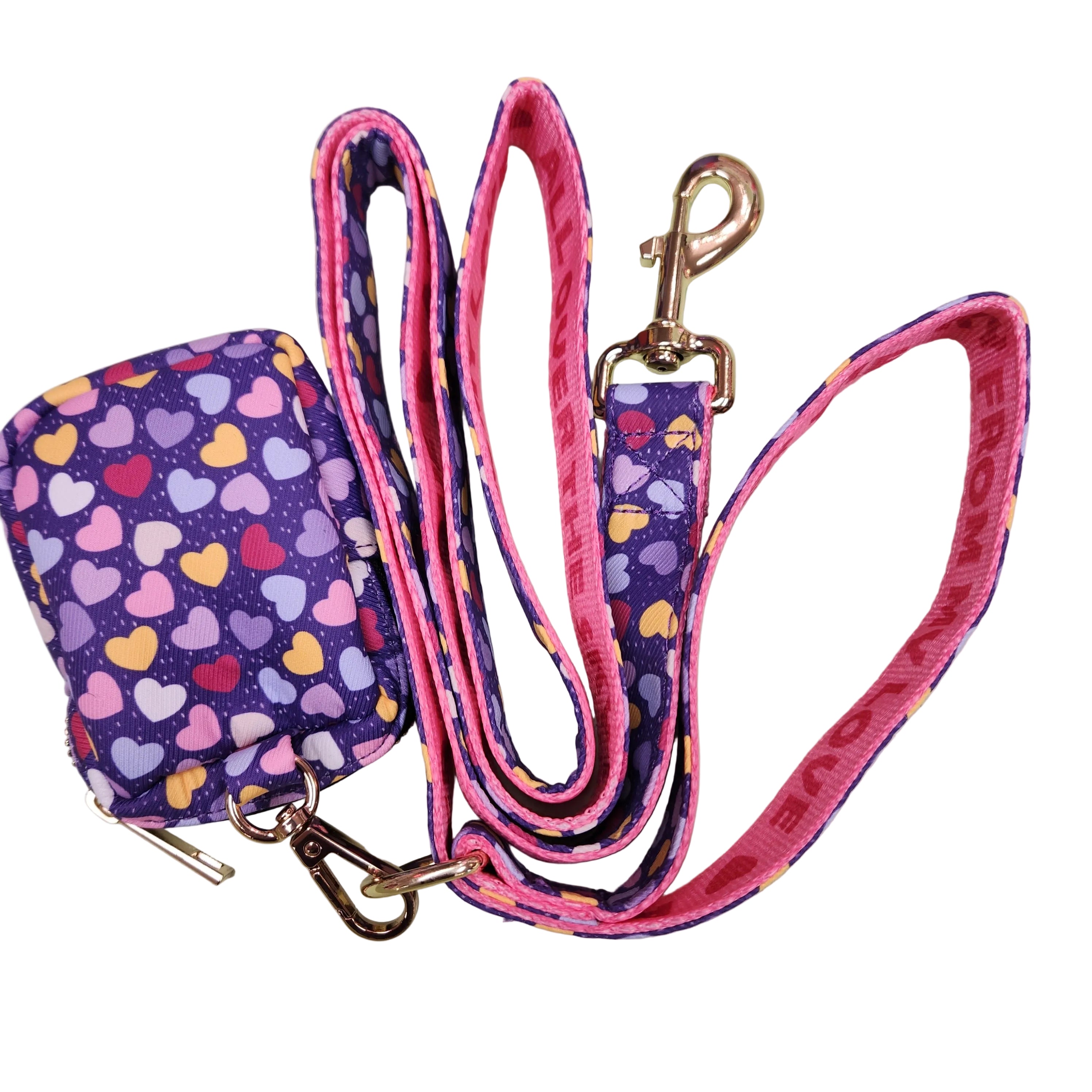 Cute Summer Pet Leash with Waste Bag Holder
