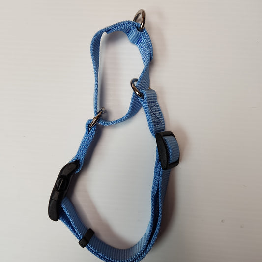 Collier pour chien Martingale antidérapant côtier 18- 22"