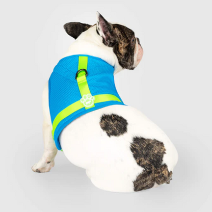 Canada Pooch Cooling No-Pull Harness, Just Add Water, Blue Green