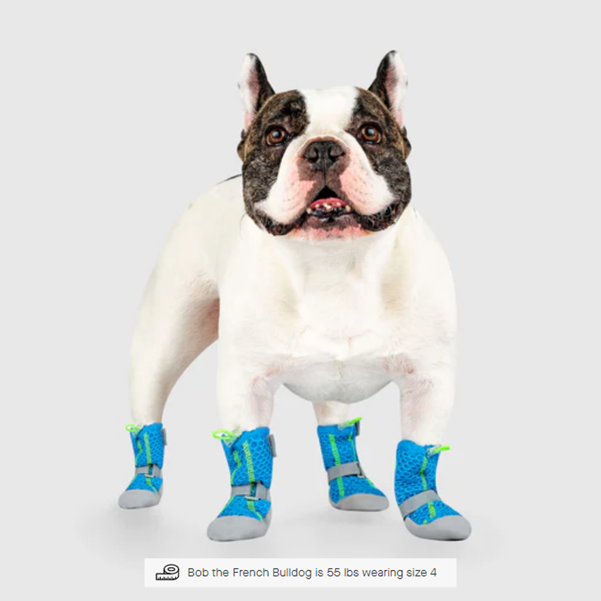 Canada Pooch Hot Pavement Boots, Water Friendly, Blue Green