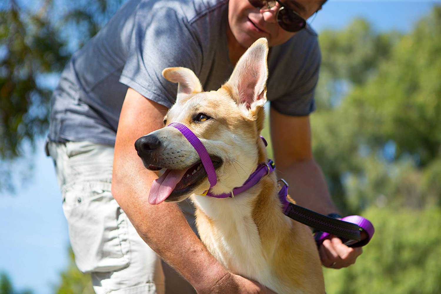 Anti pull clearance head collar