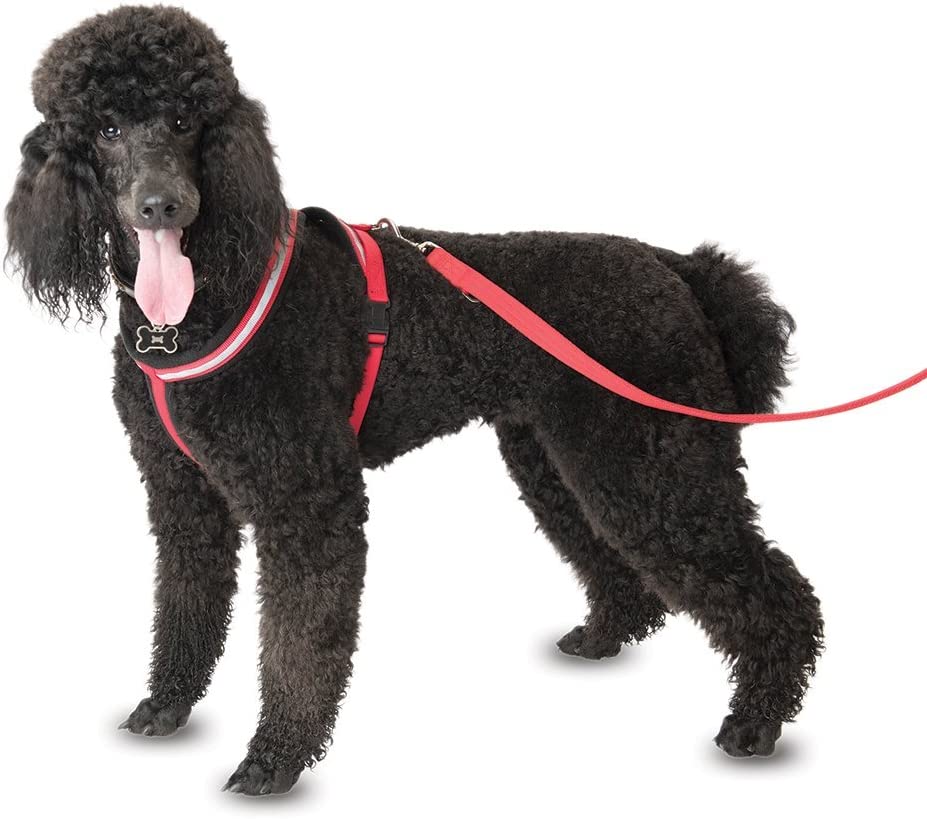 Company of Animals Reflective Comfy Harness, Red/Black