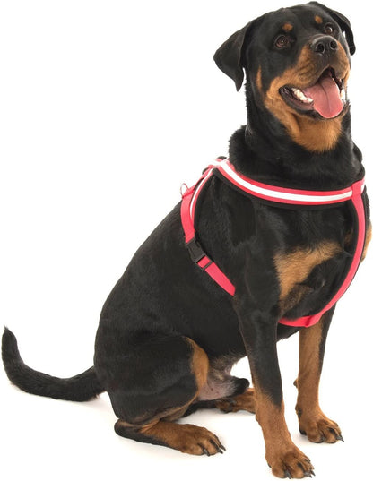 Company of Animals Reflective Comfy Harness, Red/Black