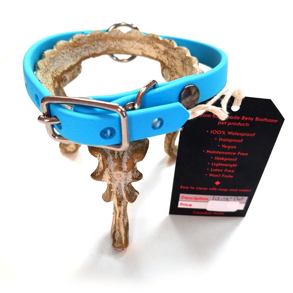 Denali Design Hand-made Beta Biothane Dog Collar 12"-14" in Baby Blue
