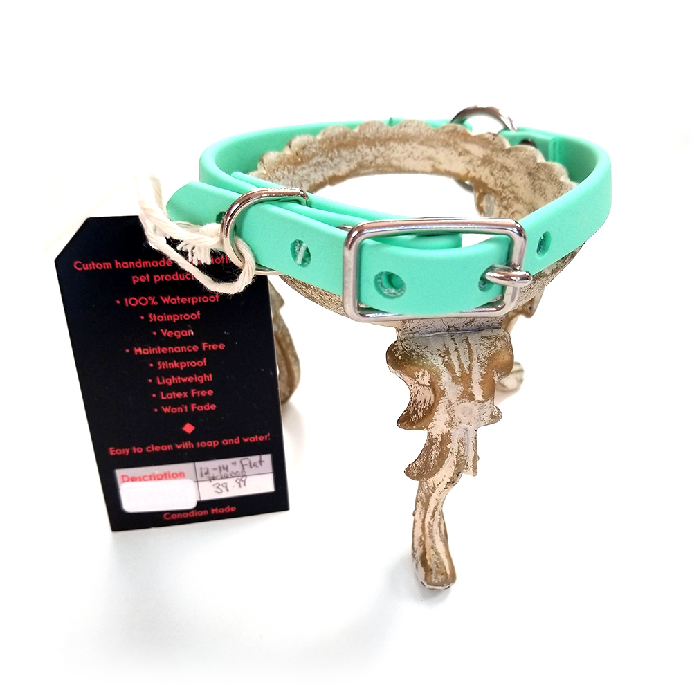 Denali Design Hand-made Dog Collar Beta Biothane 12"-14" in Seafoam