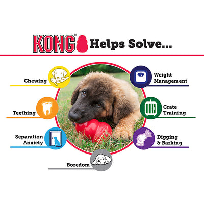 KONG Classic