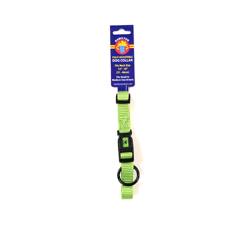 Hamilton Nylon Adjustable Dog Collar, Bright Lime