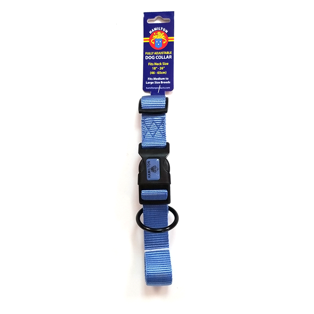 Hamilton Nylon Adjustable Dog Collar, Berry Blue