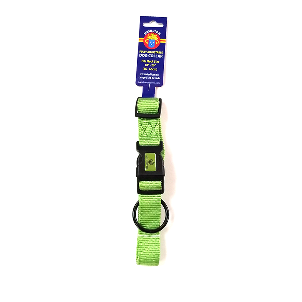 Hamilton Nylon Adjustable Dog Collar, Bright Lime