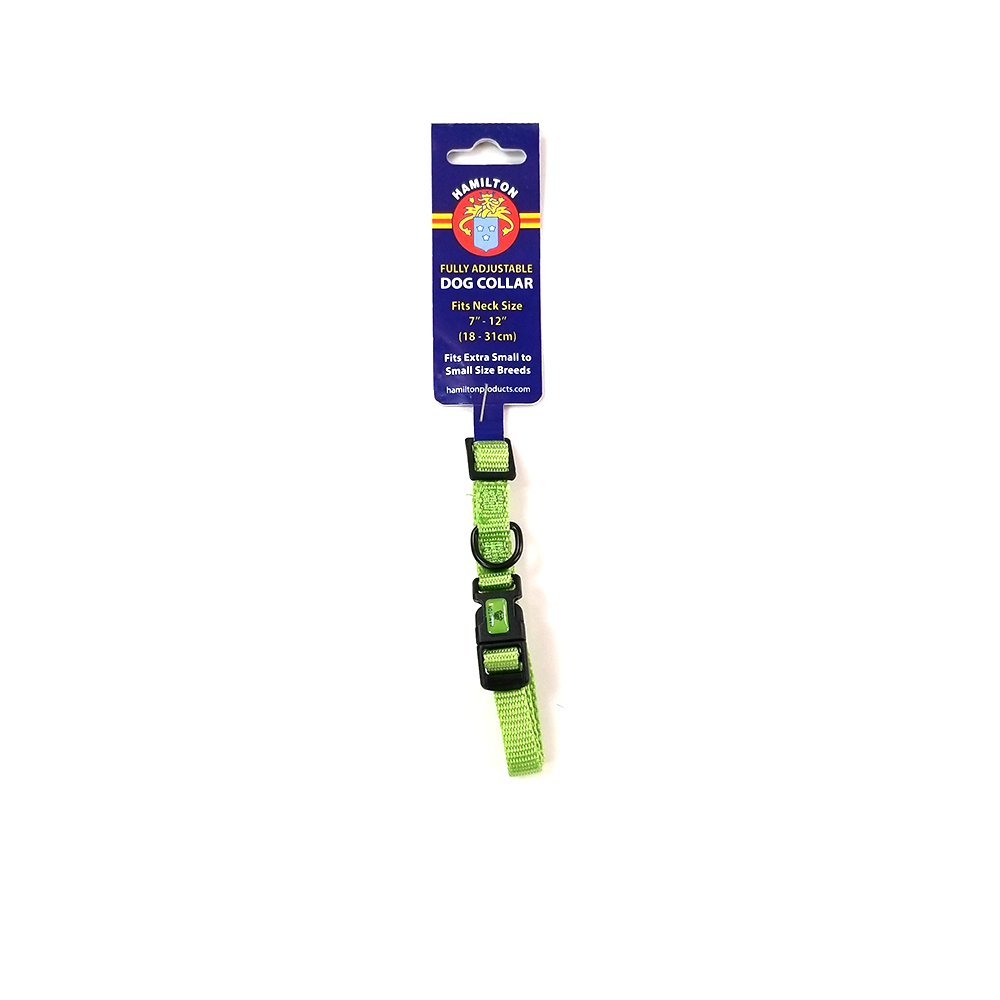 Hamilton Nylon Adjustable Dog Collar, Bright Lime