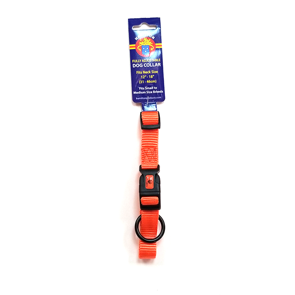 Hamilton Nylon Adjustable Dog Collar, 12"-18", Bright Mango
