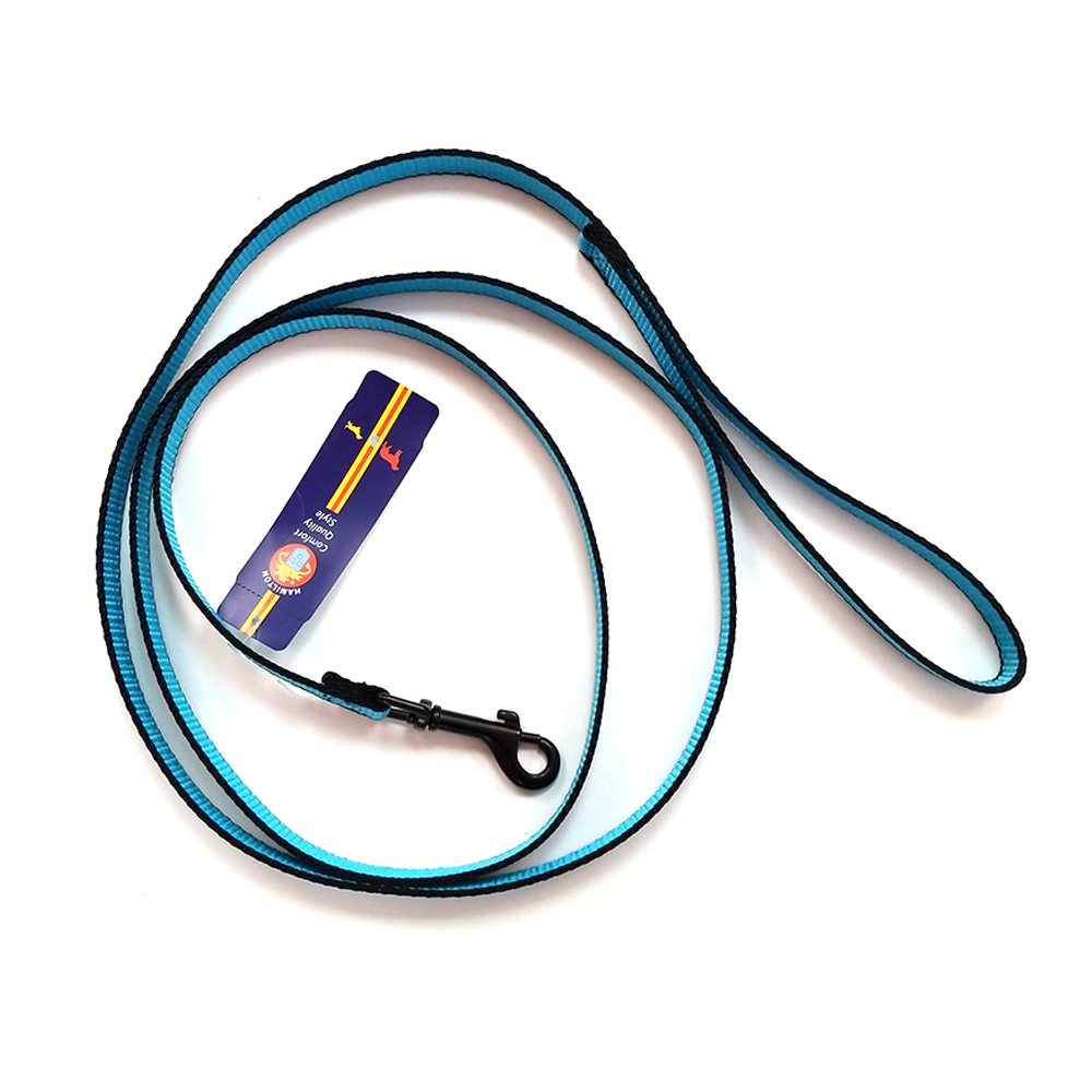 Hamilton Nylon Dog Leash, Bright Blue / Black Trim