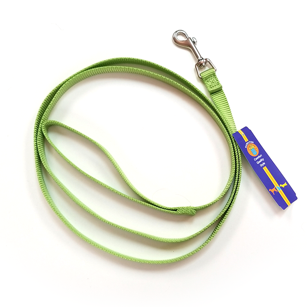 Hamilton Nylon Dog Leash, Bright Lime