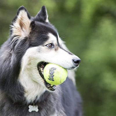 KONG SqueakAir Ball, Large
