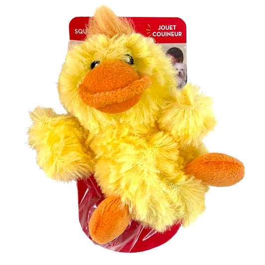 KONG Dr. Noyz Dog Toy, Duck, Small