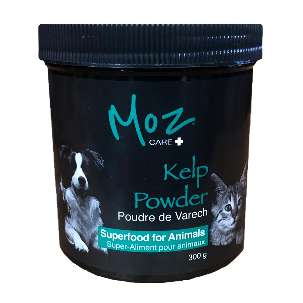Moz Care Kelp Atlantic Superfood For Animals (350g)