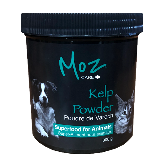 Moz Care Kelp Atlantic Superfood pour animaux (350g)