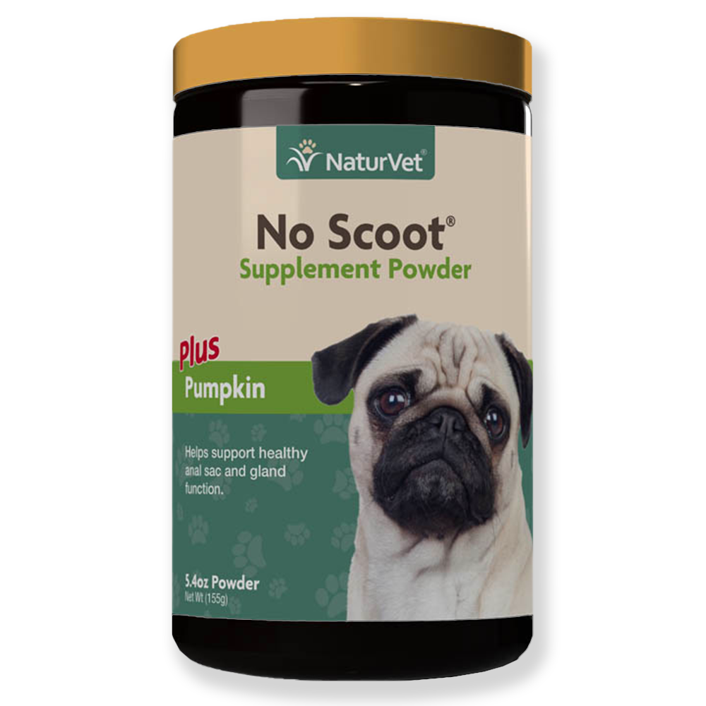 NaturVet No Scoot Supplément Poudre Plus Citrouille (150g)