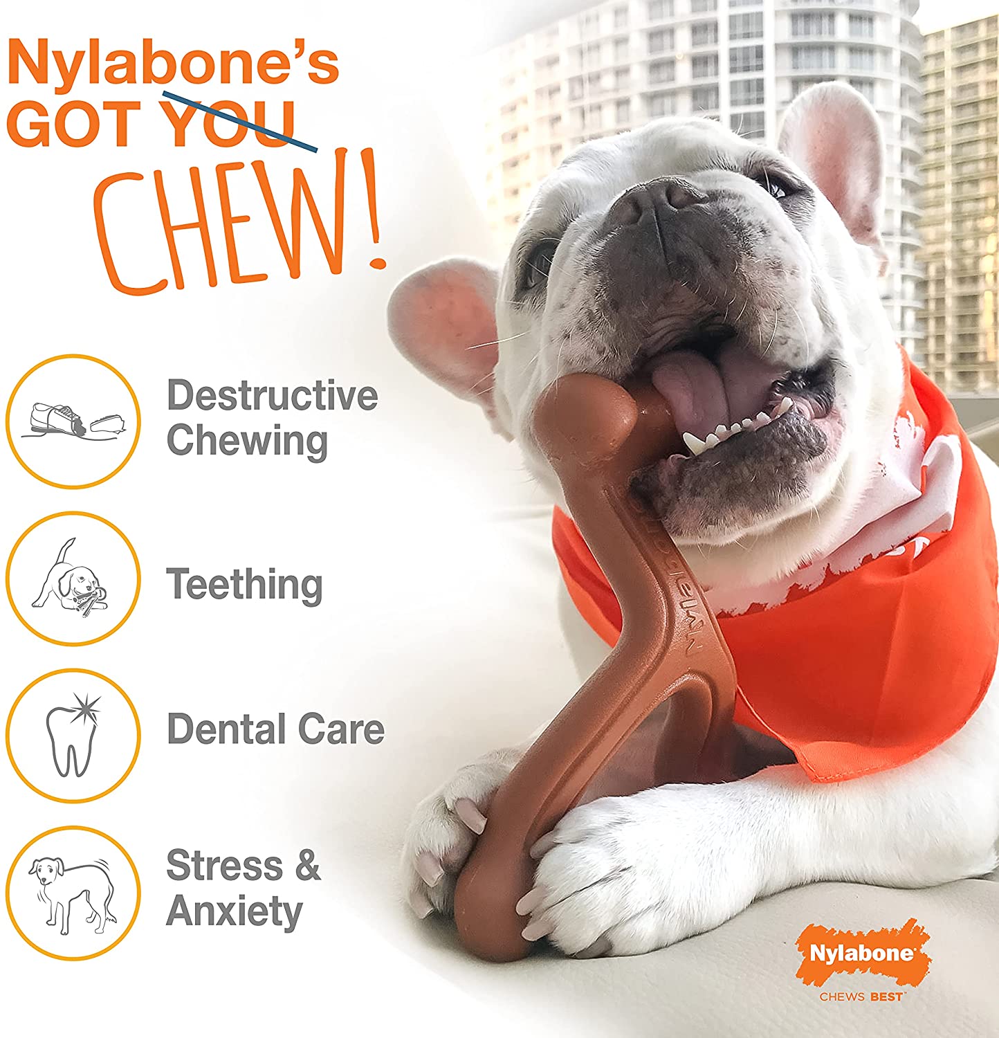 Nylabone Long Lasting Wishbone Chew Regular