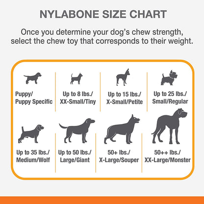 Nylabone Long Lasting Wishbone Chew Regular