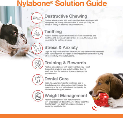 Nylabone Long Lasting Wishbone Chew Regular