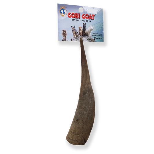 QT Dog Gobi Goat Horn Natural Chew