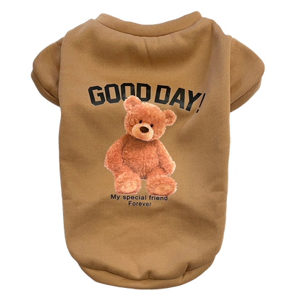 Teddy Bear Cozy Sweatshirt