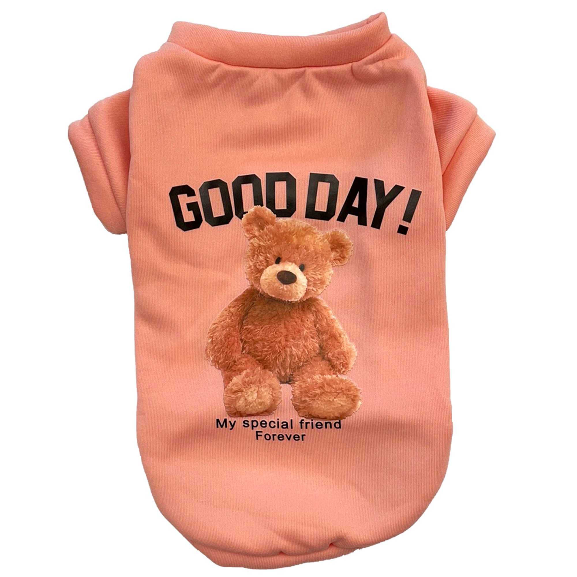 Teddy Bear Cozy Sweatshirt
