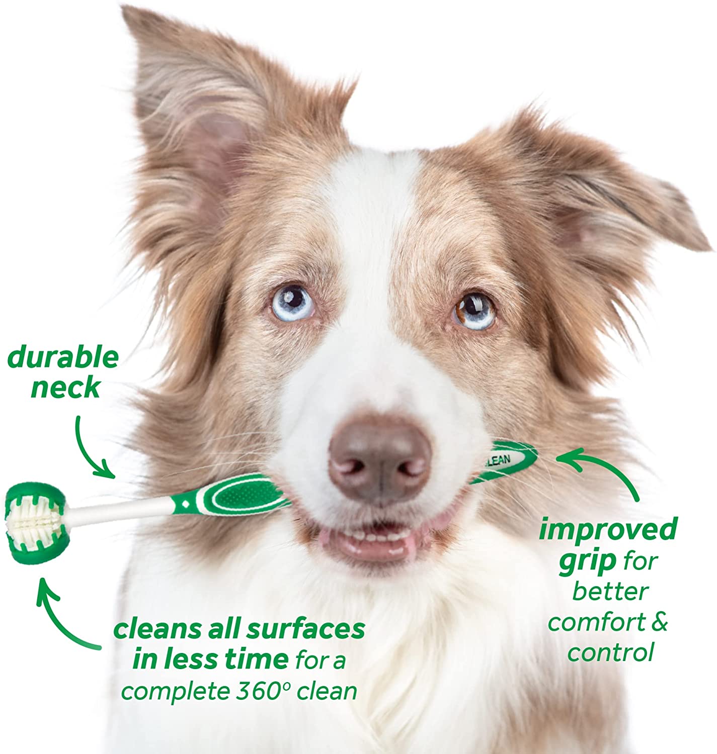 Tropiclean Oral Care Kit for Large Dogs