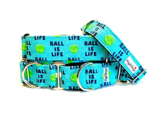 Wiggle Bumz Clip Collar, Ball Is Life, 9-14", Blue