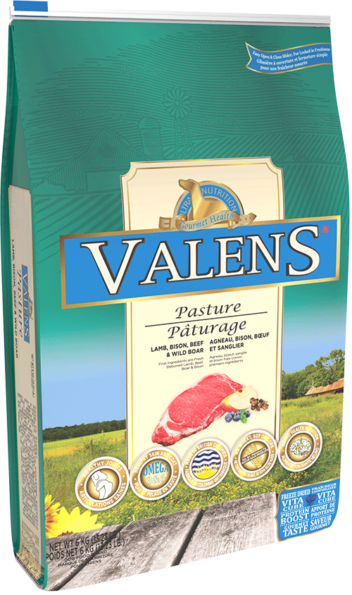 Nourriture pour chiens Valens, sans céréales, pâturage, agneau, bison, bœuf et sanglier