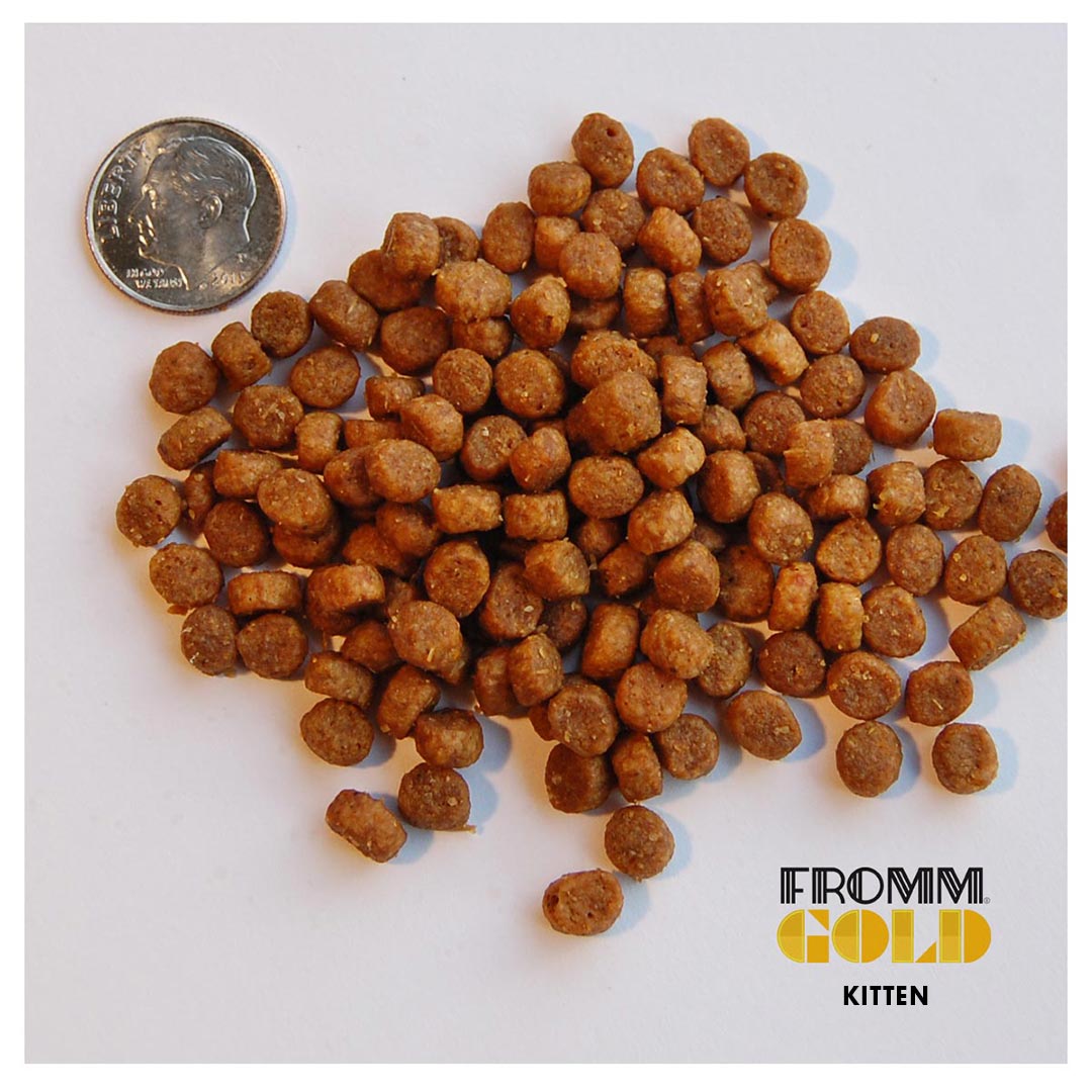 Fromm Gold Kitten Food, 4lb