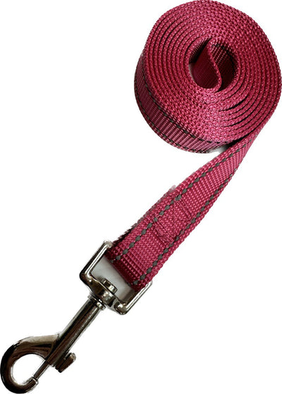 Solid Colour Leashes in 2 Sizes 3/4" × 5' or 1" x 6' Leashes with Reflective Stitching